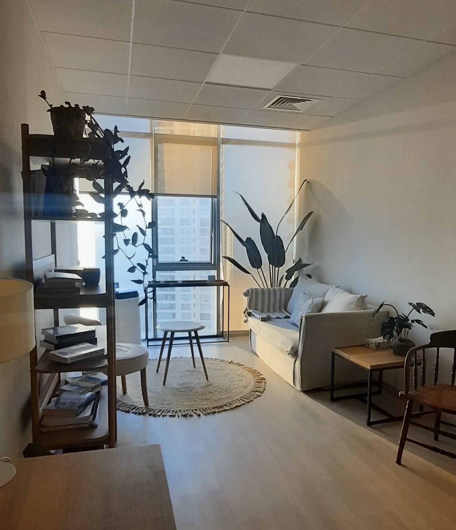 Consulta presencial cálida y luminosa en Concón